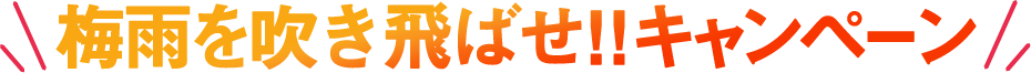 期間限定新春キャンペーン